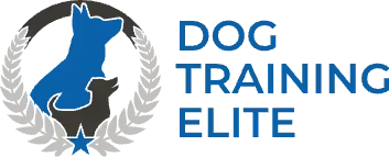 Digital Marketing for dog trainers by Northbroad.co