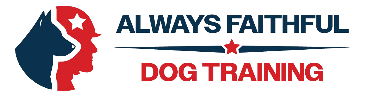 Digital Marketing for dog trainers by Northbroad.co