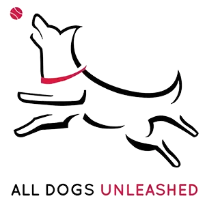 Digital Marketing for dog trainers by Northbroad.co