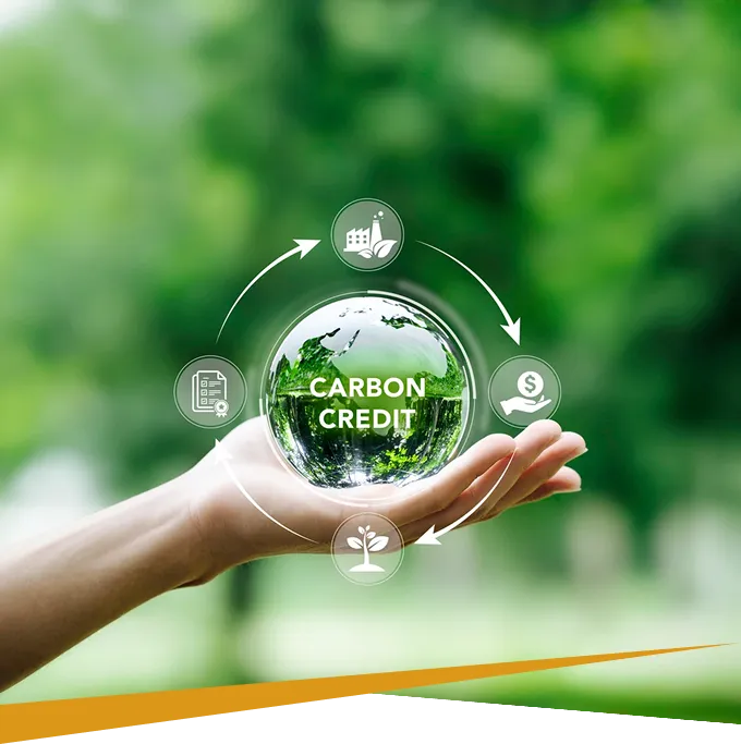 Graphene X carbon credits