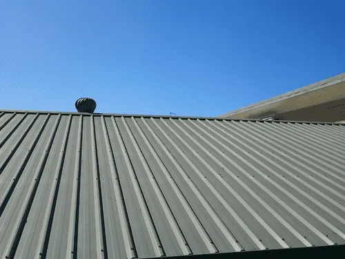 Metal Roof Painting in Windsor