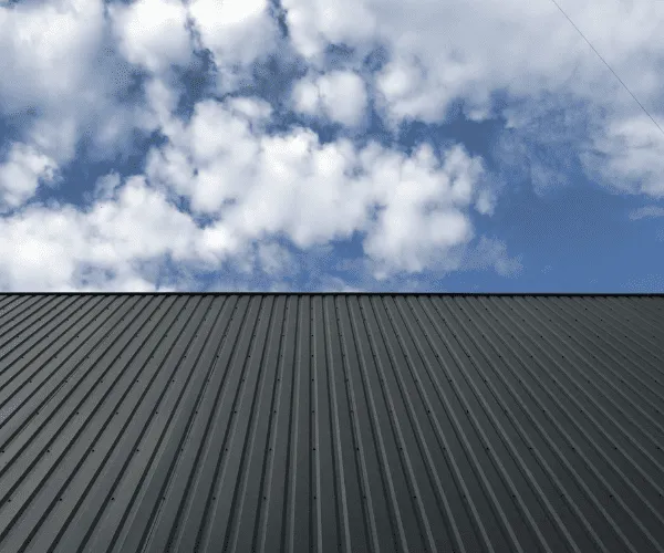 Metal Roof Painting 