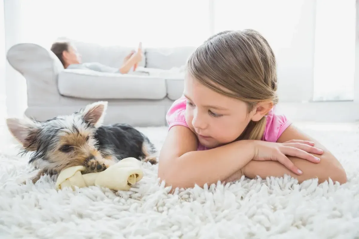 Healthy pet enjoying clean floors after deep carpet cleaning