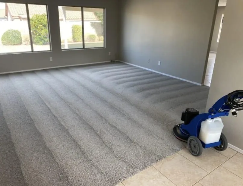 A clean, beautifully maintained living space reflecting our commitment to quality.