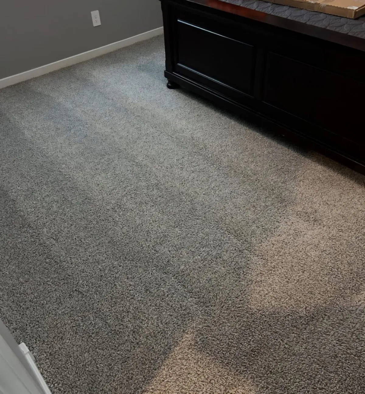 Deep carpet extraction and restoration service