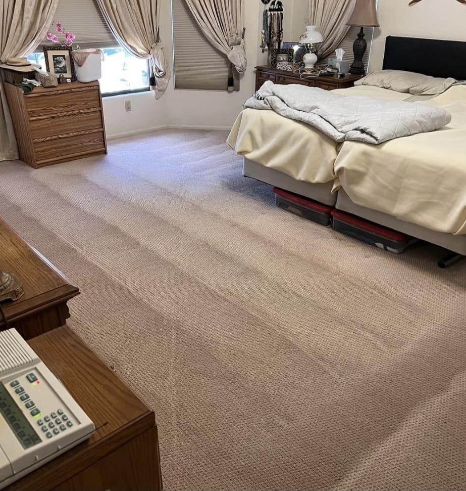 Final inspection showing pristine groomed carpet