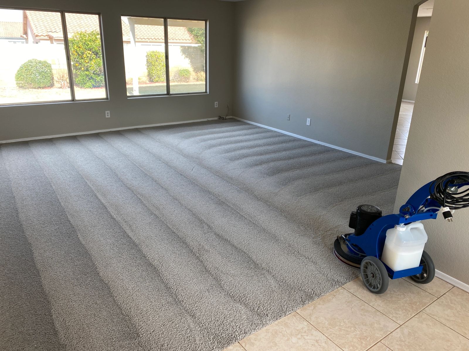 Top 8 Reasons You Should Be Having Your Carpets Cleaned