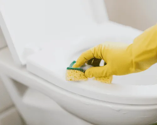 Deep Cleaning Charleston