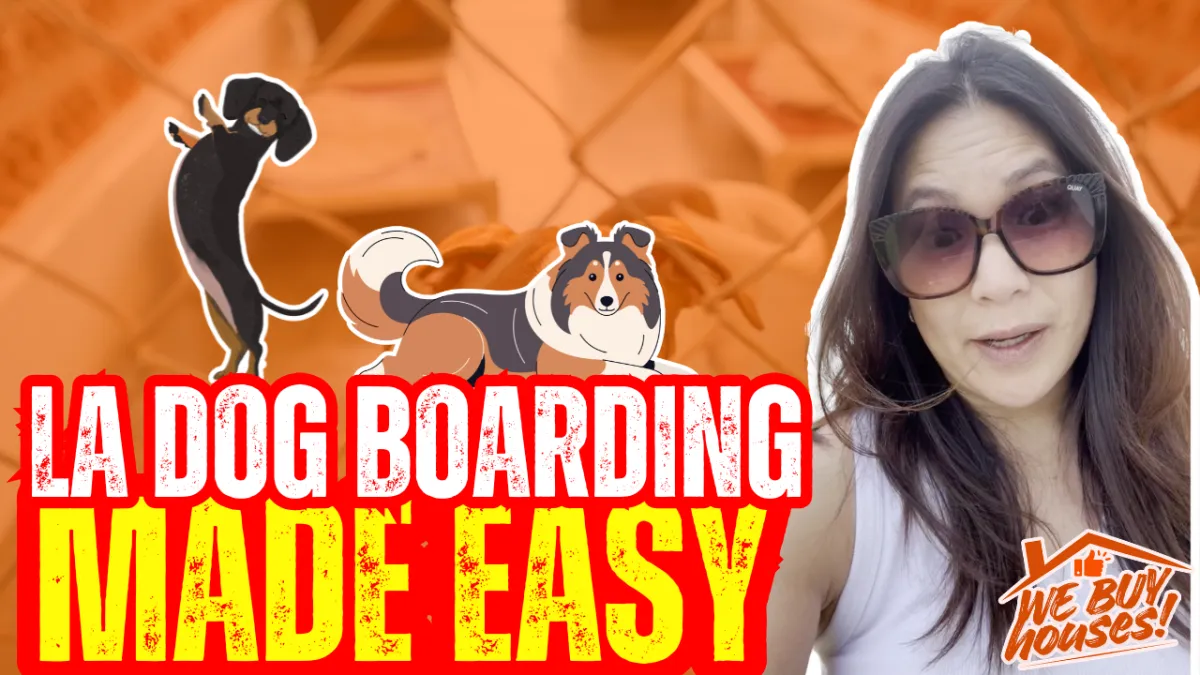 Los Angeles Dog Boarding and Daycare Guide for Homeowners