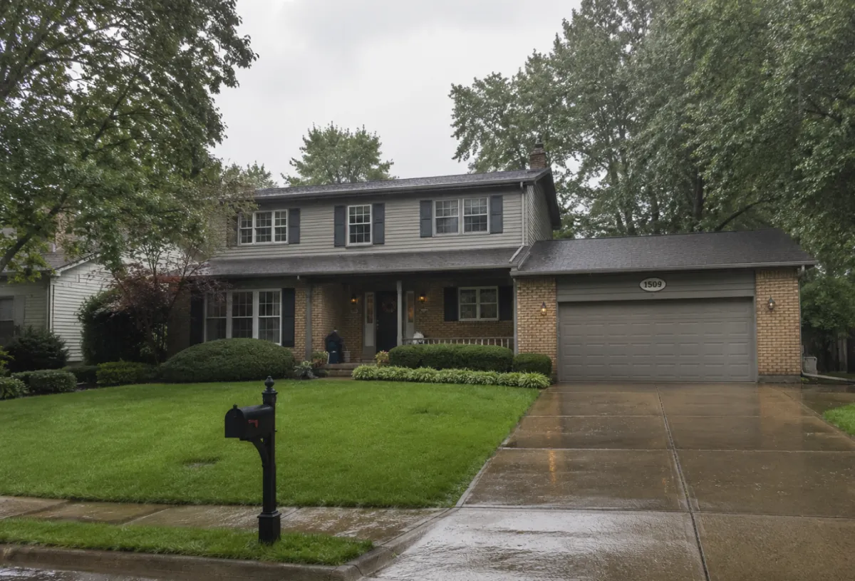 Selling a Chesterfield House With Termite Damage
