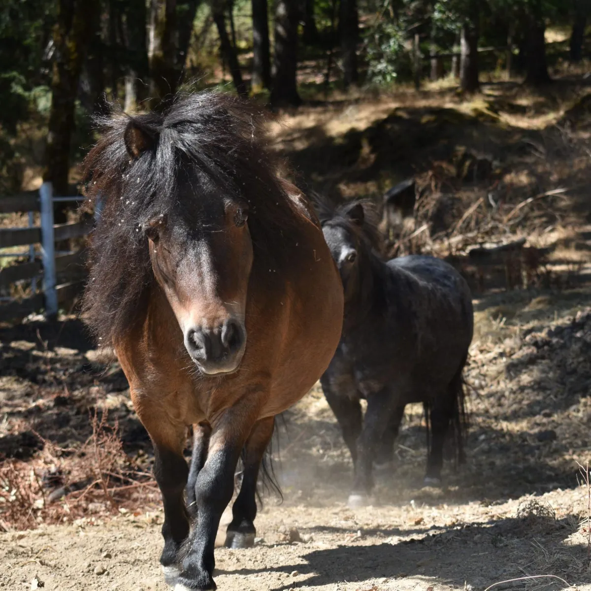 Aerial view of Possum Kingdom RV Resort showing RV sites along Possum Kingdom Lake