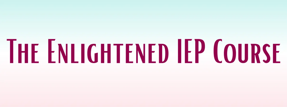 the enlightened IEP course