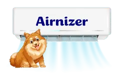 airnizer ductless heating and air New York
