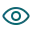 Eye icon representing reading observation, student progress monitoring, and literacy assessment.