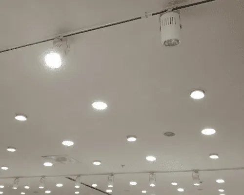 Belle Meade Permanent Roofline Lighting