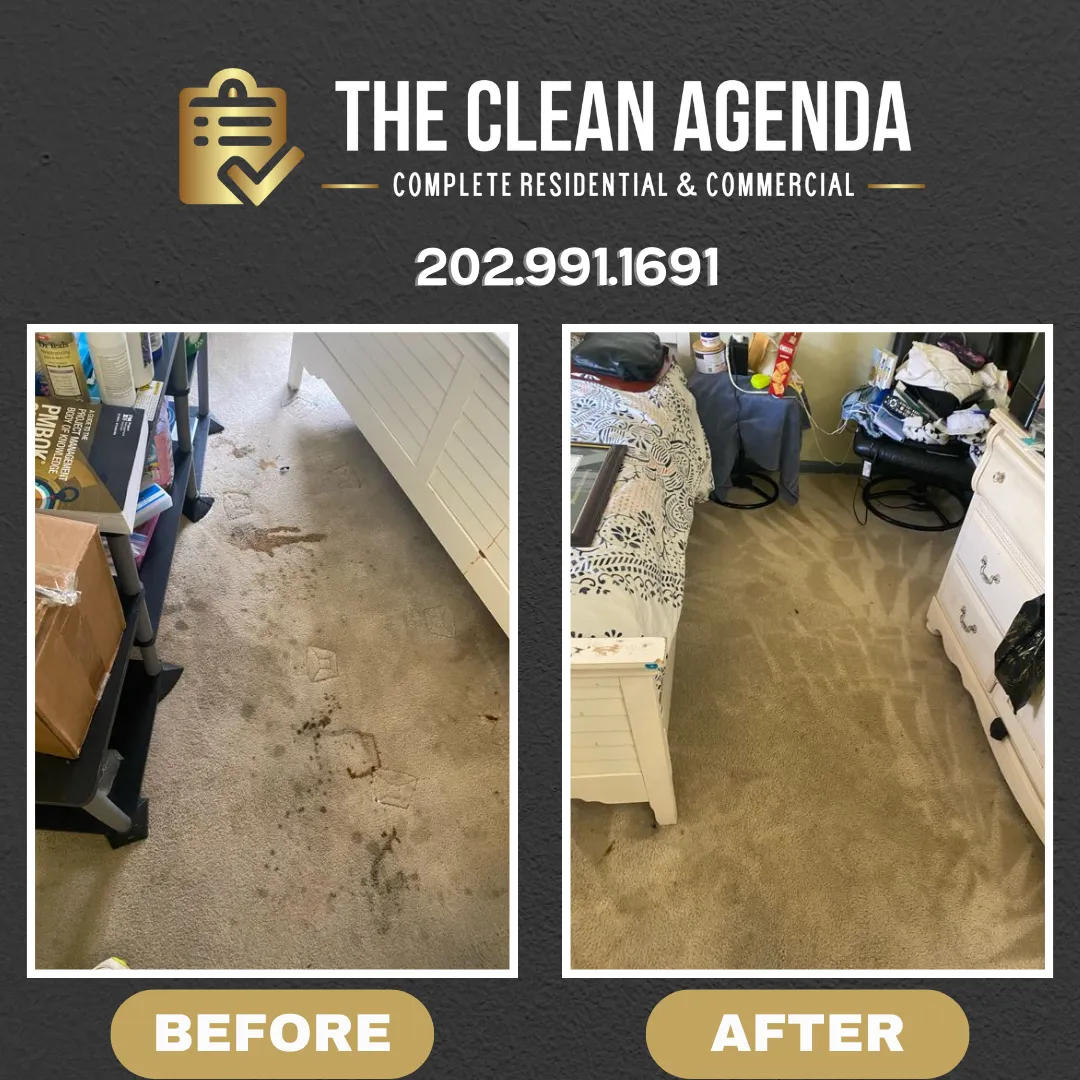 The Clean Agenda house cleaning near me Review