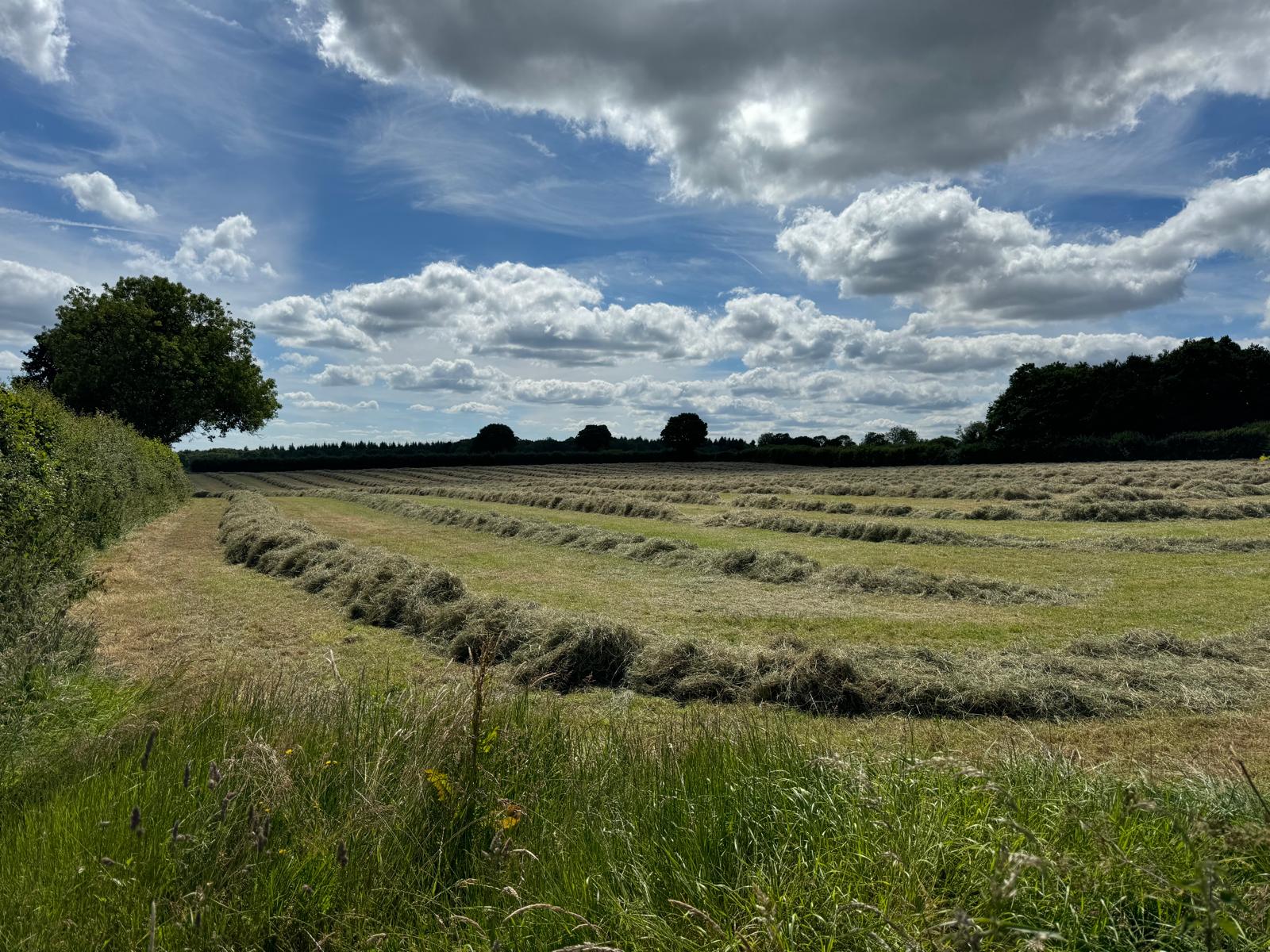 Haylage - farming at Tuffs Farm Chipperfield