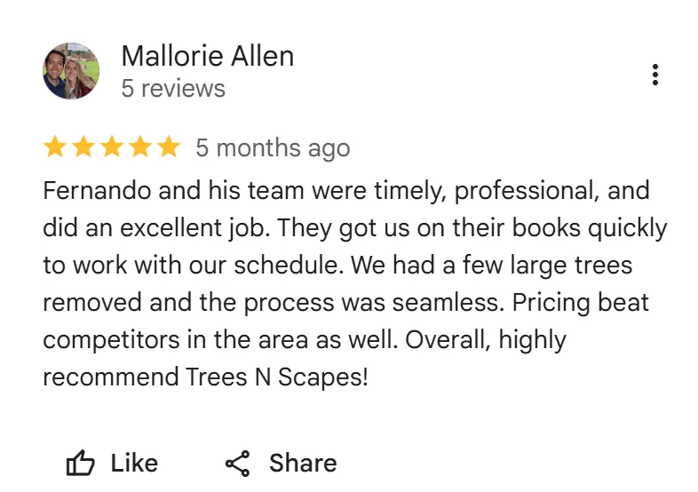 tree removal edmonton