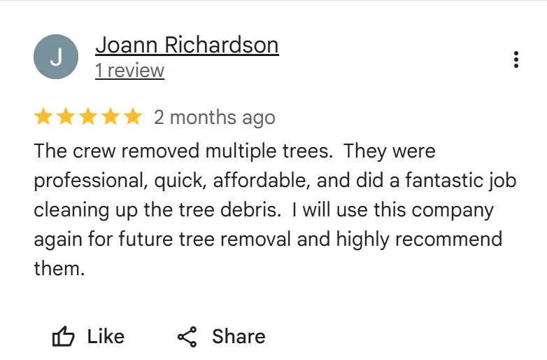 tree removal edmonton
