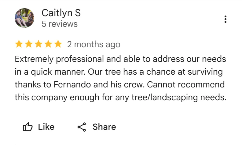 tree removal edmonton