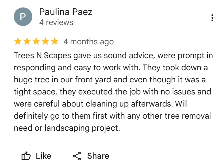 tree removal edmonton