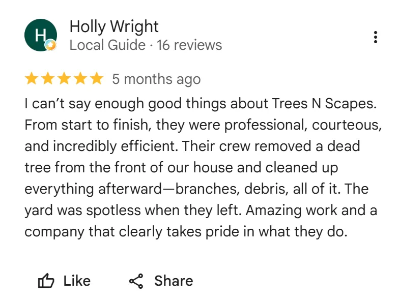 tree removal edmonton
