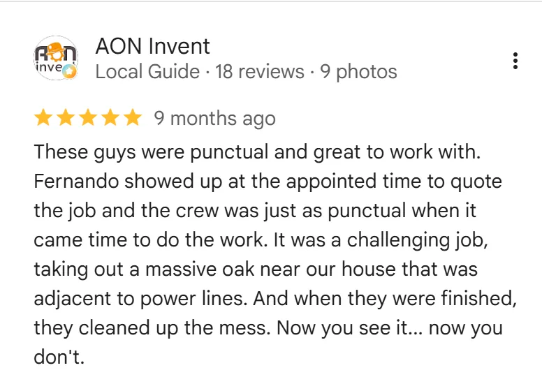 tree removal edmonton