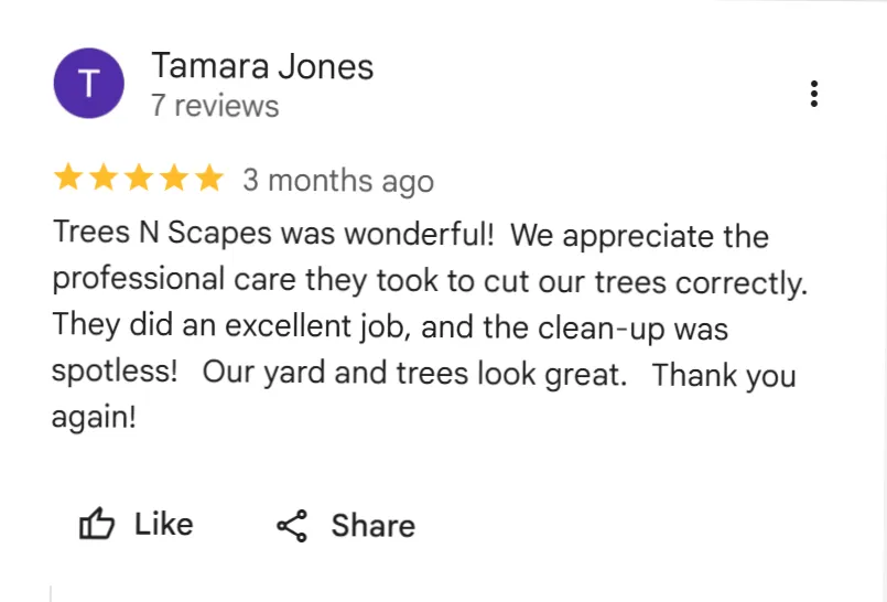 tree removal edmonton