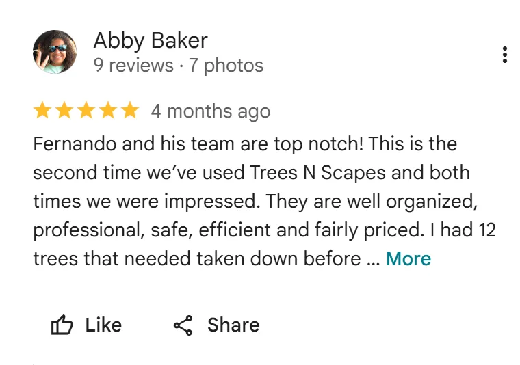 tree removal edmonton