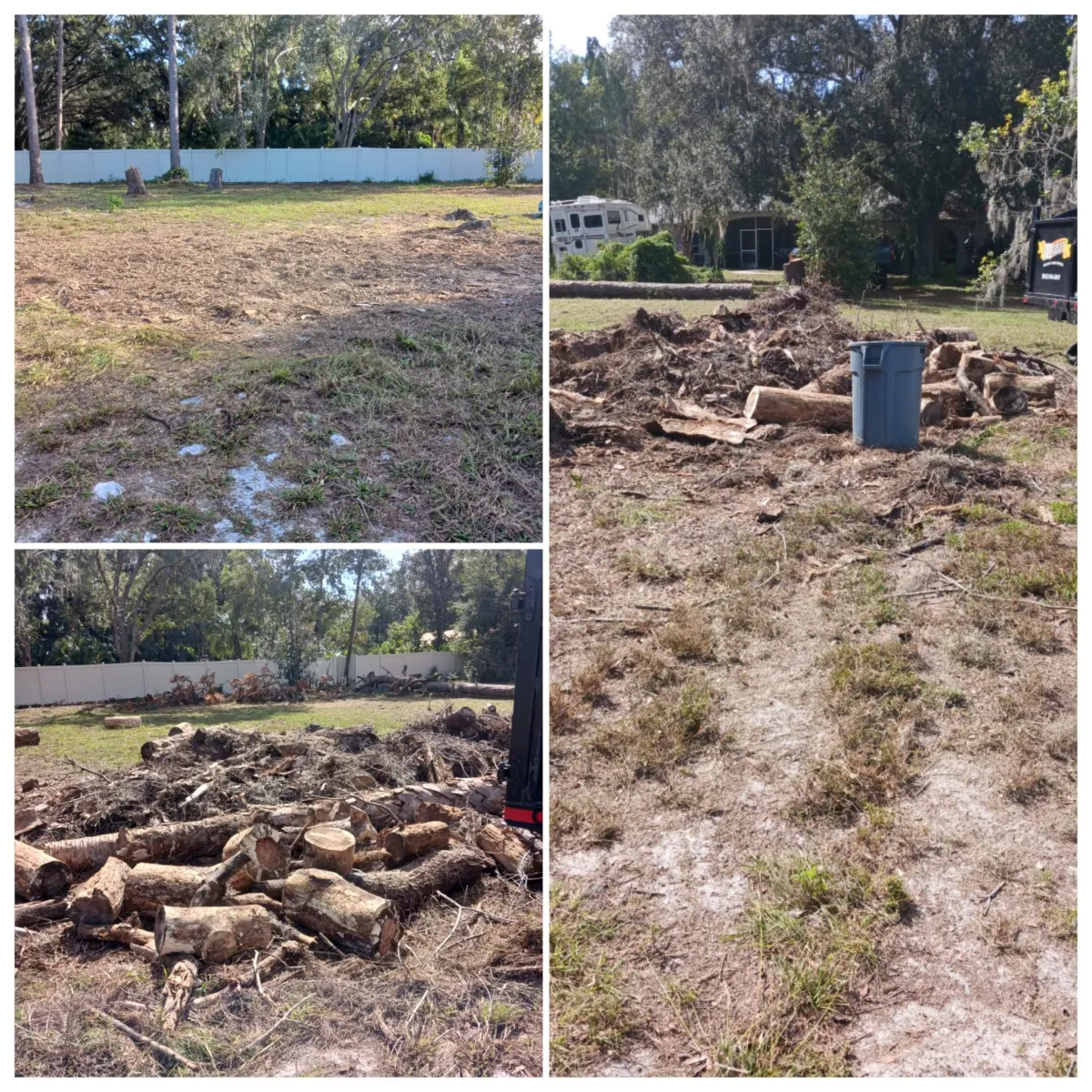 yard waste includes fallen tree debris and yard waste