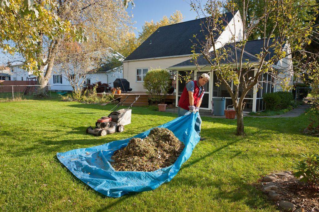 One Exterior Care Provider for Lawn and Cleaning in Nanaimo