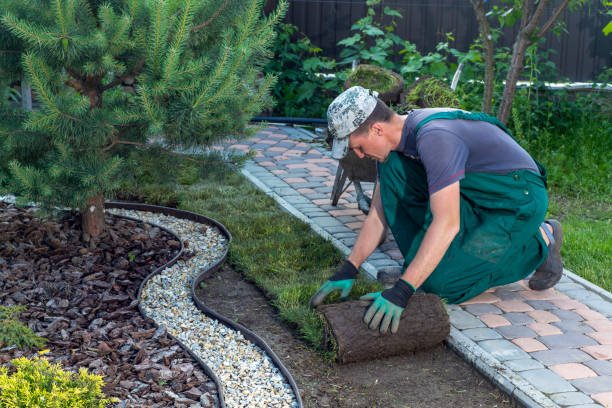 Spring Lawn Cleanup in Nanaimo | Mark's Yard & Home