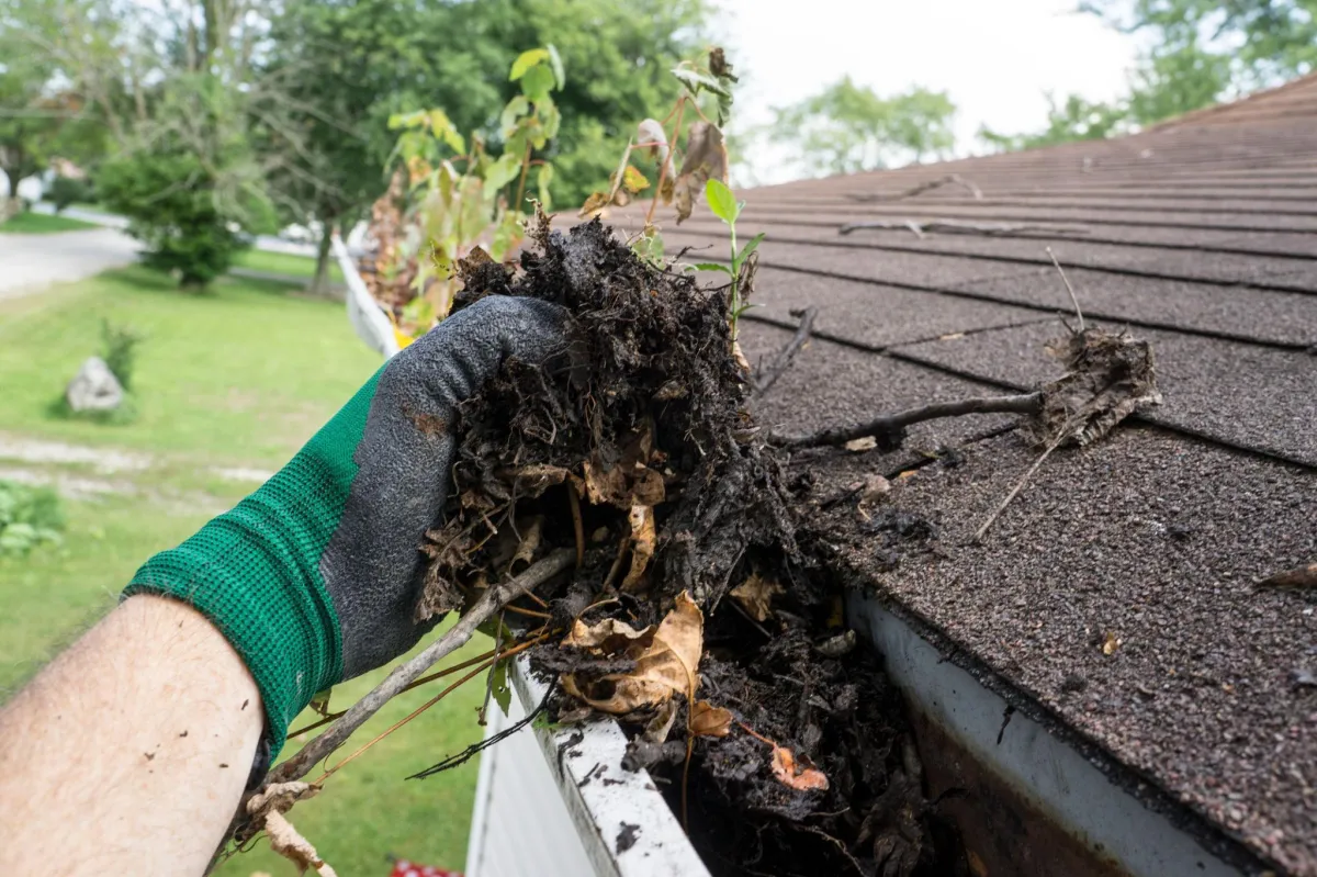 Gutter Cleaning Nanaimo BC: How Often and When to Do It