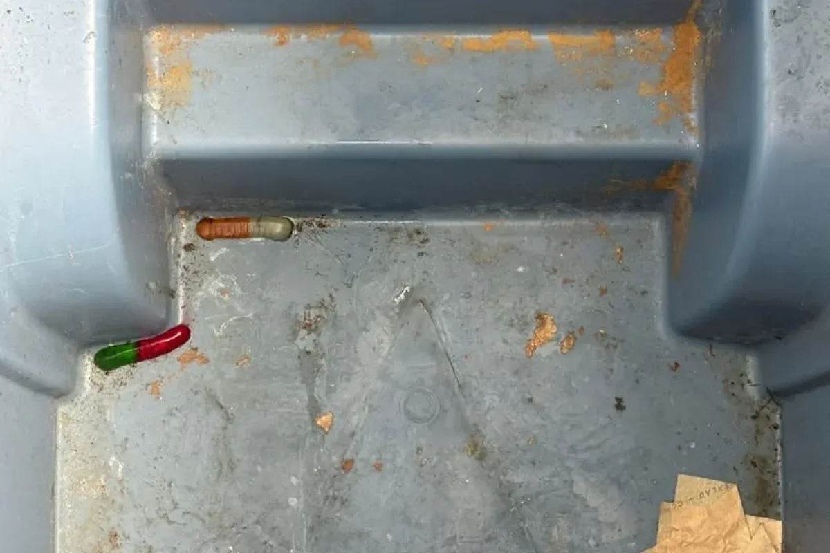 Looking for Garbage Bin Cleaning in On Top of the World (OTOW), FL? Here’s What to Know