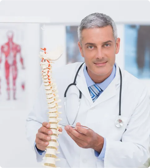 sliced green avocado fruit