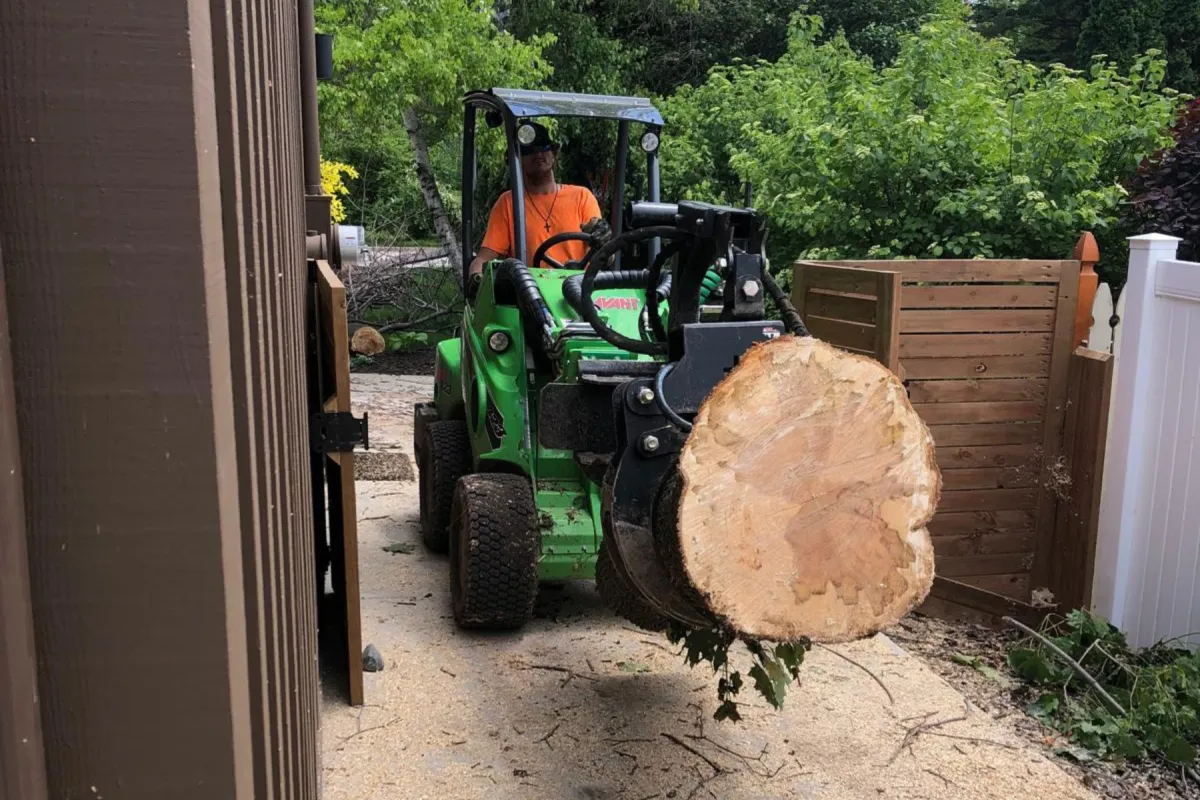 Affordable Tree Removal in Green Bay, WI 