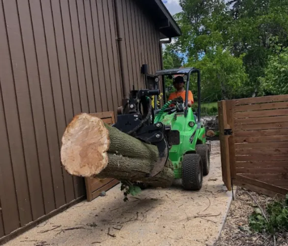 Tree Service Green Bay