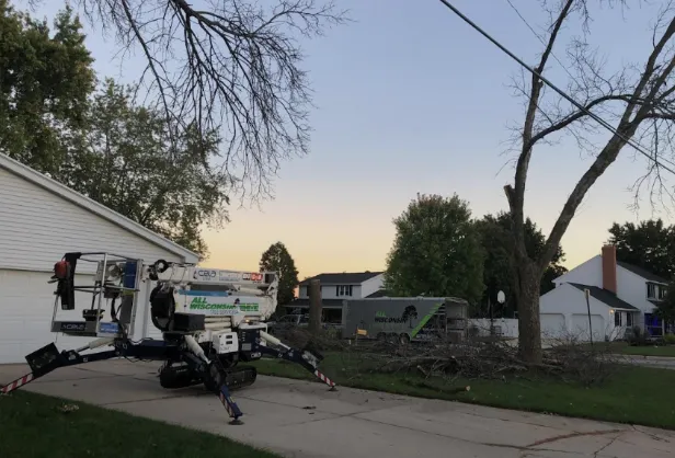 Affordable Tree Service in Green Bay WI