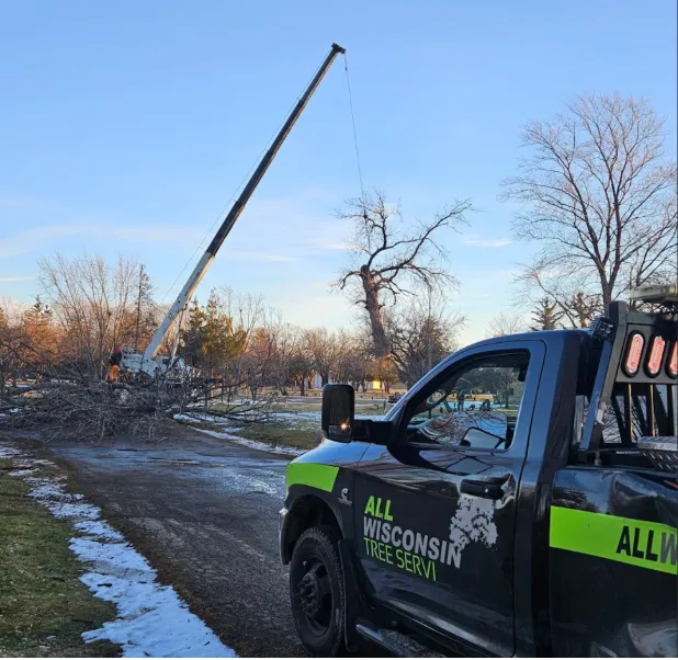 Stump Grinding Services Near Me