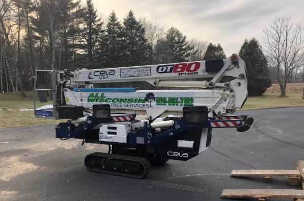 All Wisconsin Tree Service Complete Tree Care You Can Trust