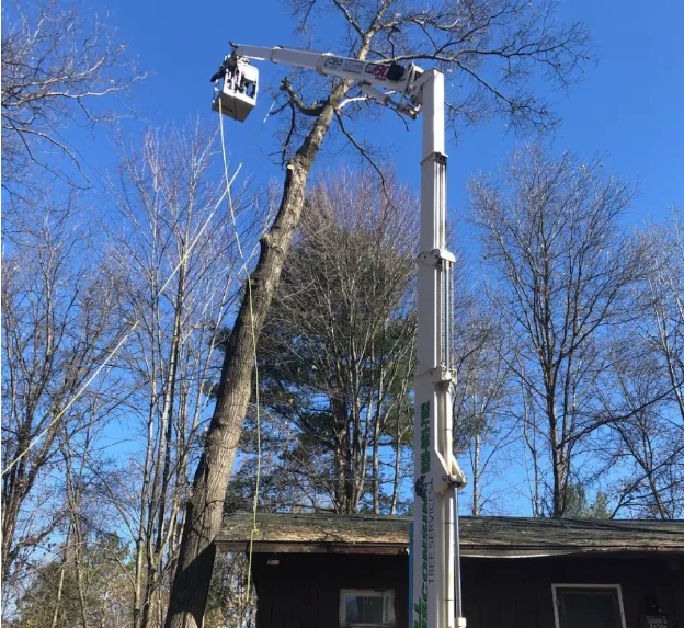 Tree Service De Pere, WI