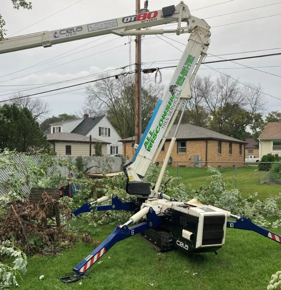 tree trimming in Green Bay, WI