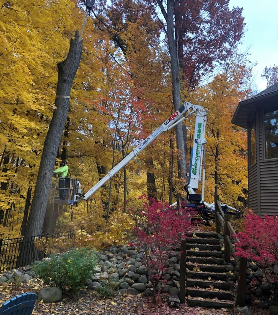 tree service in De Pere, WI