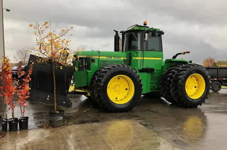 Tree Trimming Services in DePere, WI