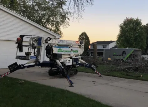 Expert Tree Care