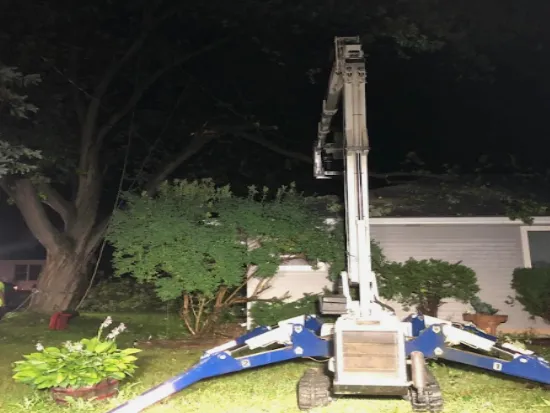 Stump Grinding or Removal