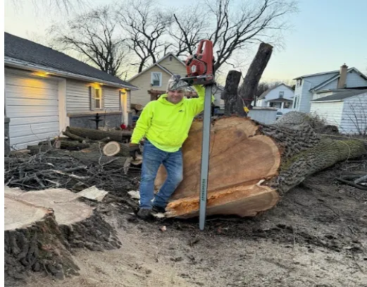 Seasonal Tree Care 
