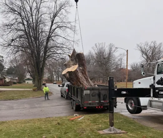 Tree Trimming in Green Bay 