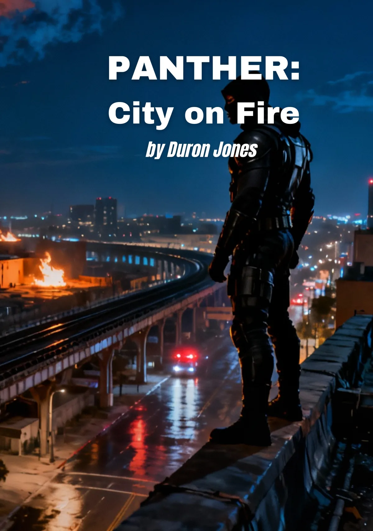 Panther: City on Fire