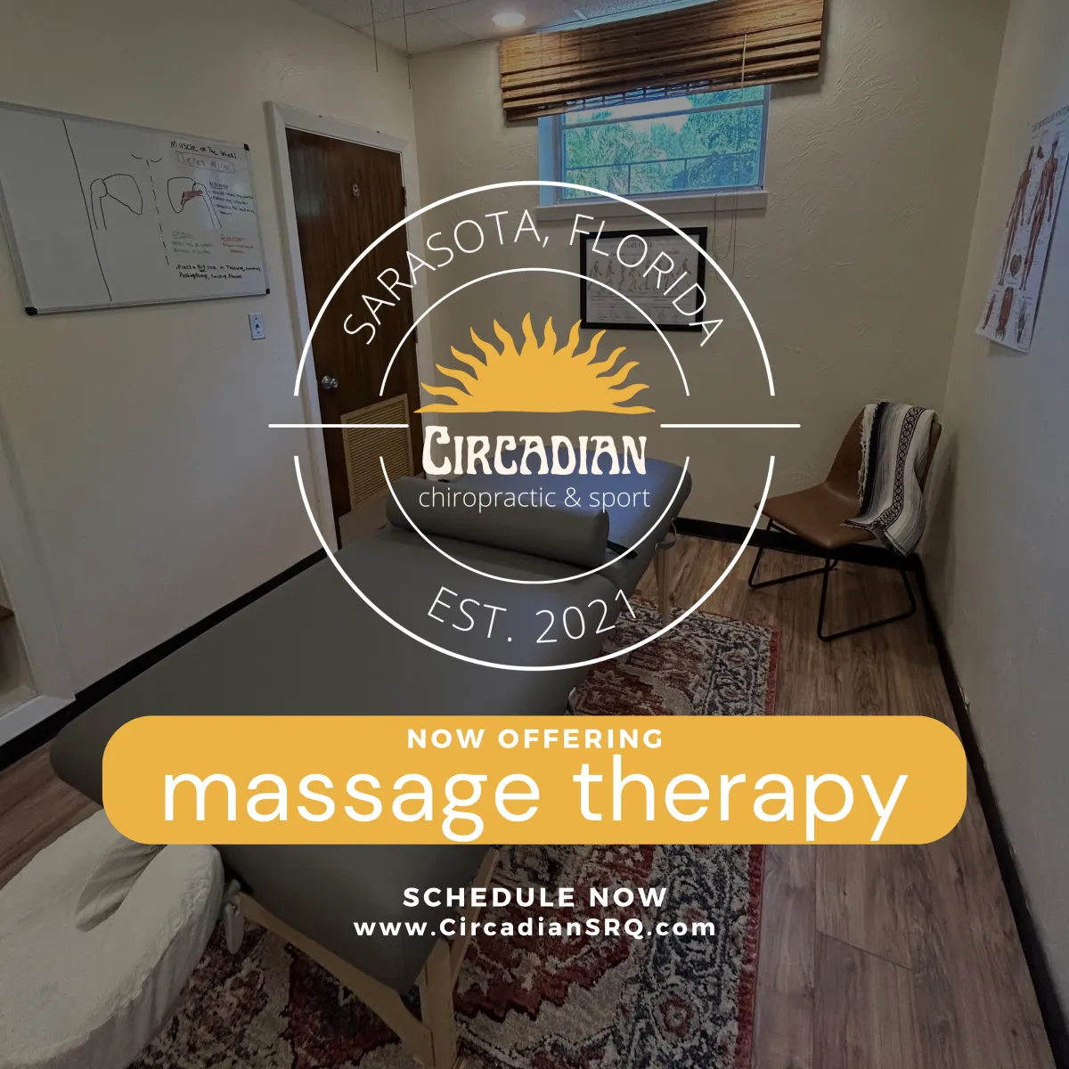 Sarasota massage therapy, sarasota frequency specfic microcurrent, sarasota FSM